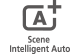 Selecteert automatisch de optimale instellingen