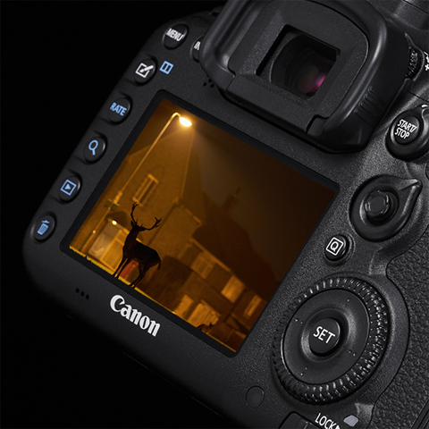 Fotografie met details bij weinig licht